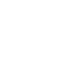 Agent logo